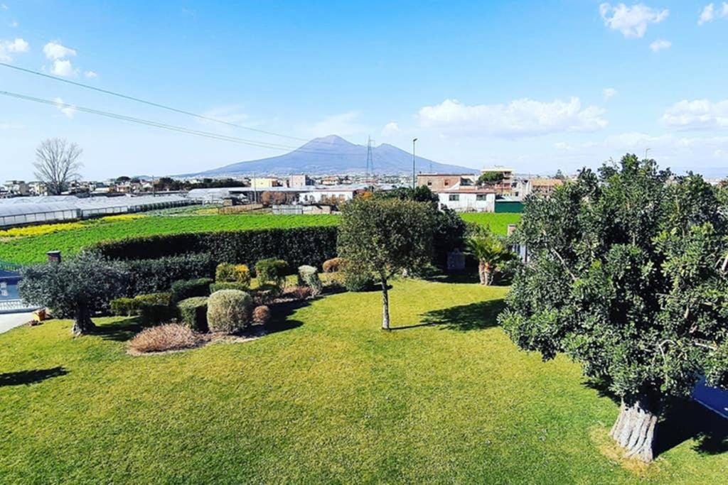 Appartement Appartament " Il Giardino " à Santa Maria La Carità Extérieur photo